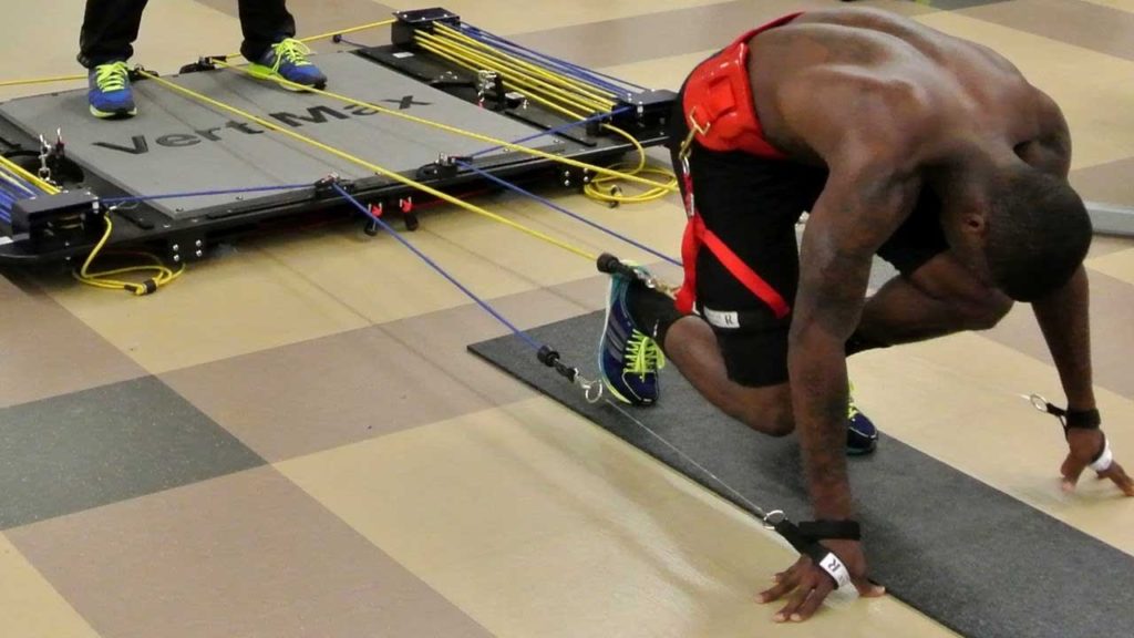 Vertimax Basketball Warehouse